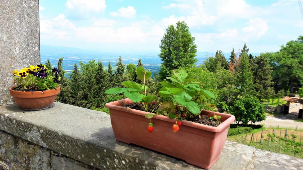 Апартаменты A Due Passi Dal Chianti Каврилья Экстерьер фото